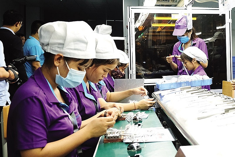 Hopes rise for blossoming foreign investment in Vietnam